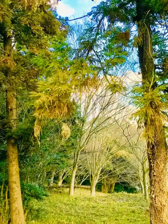 金嶽神社の周辺