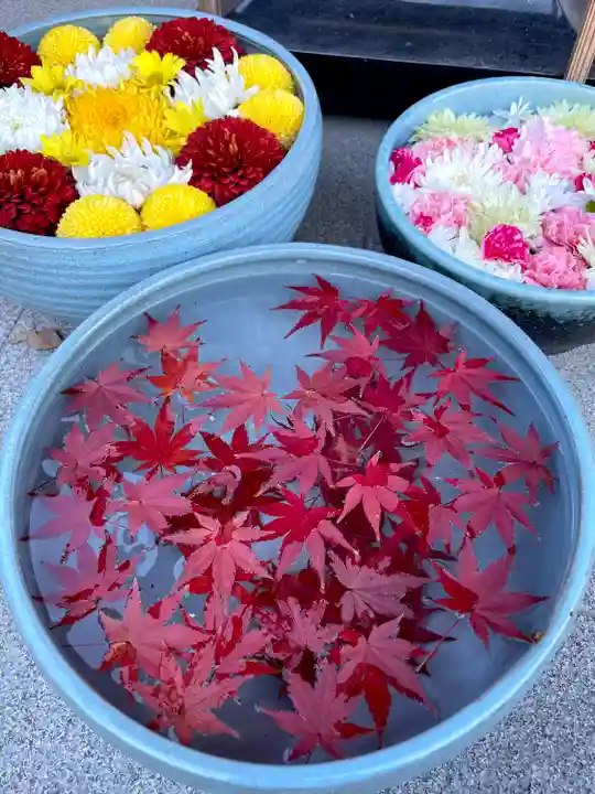 大聖護国寺(群馬県)