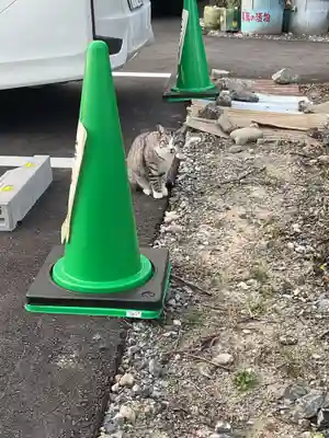 一心寺・一心禅寺の動物