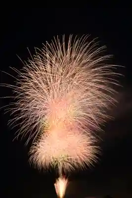 高龍神社(新潟県)