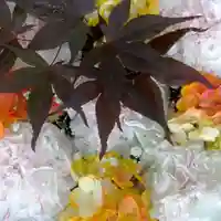 帯廣神社の手水舎