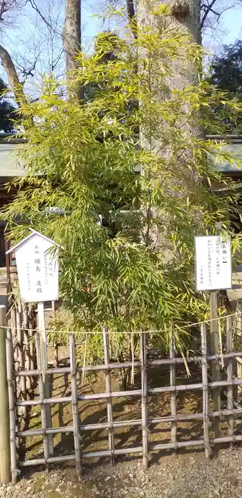 一言主神社の自然