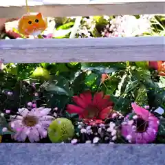 豊景神社の手水