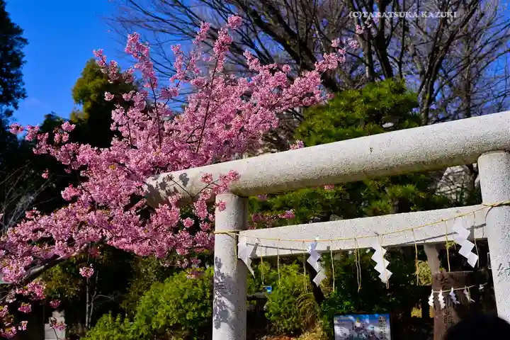 鳩森八幡神社の鳥居