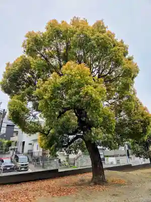 御嶽神社(神奈川県)
