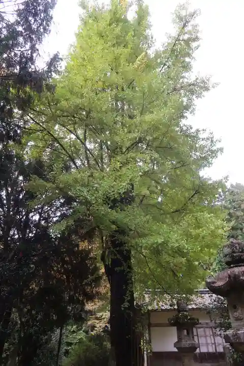 大洗磯前神社(岐阜県)