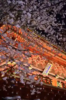 神田神社（神田明神）(東京都)