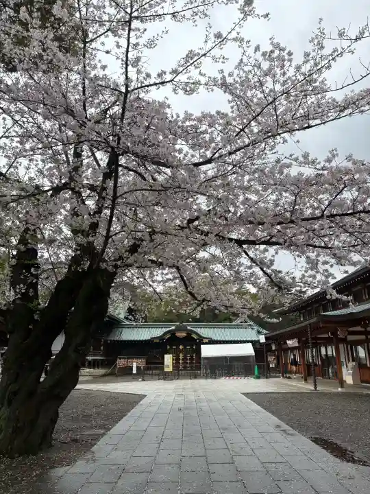 靖國神社の{uncategorized: "未分類", other: "その他", undefined: "問題あり", building: "その他建物", grave: "お墓", sacred_gate: "鳥居", guardian: "狛犬", statue: "像", buddha: "仏像", history: "歴史", nature: "自然", garden: "庭園", animal: "動物", pagoda: "塔", temizu: "手水舎", mountain_gate: "山門・神門", sanctuary: "本殿・本堂", subordinate: "末社・摂社", art: "芸術", scenery: "景色", jizo: "地蔵", ema: "絵馬", goshuin: "御朱印", omikuji: "おみくじ", items: "授与品その他", amulet: "お守り", goshuincho: "御朱印帳", eats: "食事", festival: "お祭り", votive_dance: "神楽", shichigosan: "七五三参", wedding: "結婚式", experience: "体験その他", initially: "初詣", around: "周辺", anti_infection: "感染症対策"}