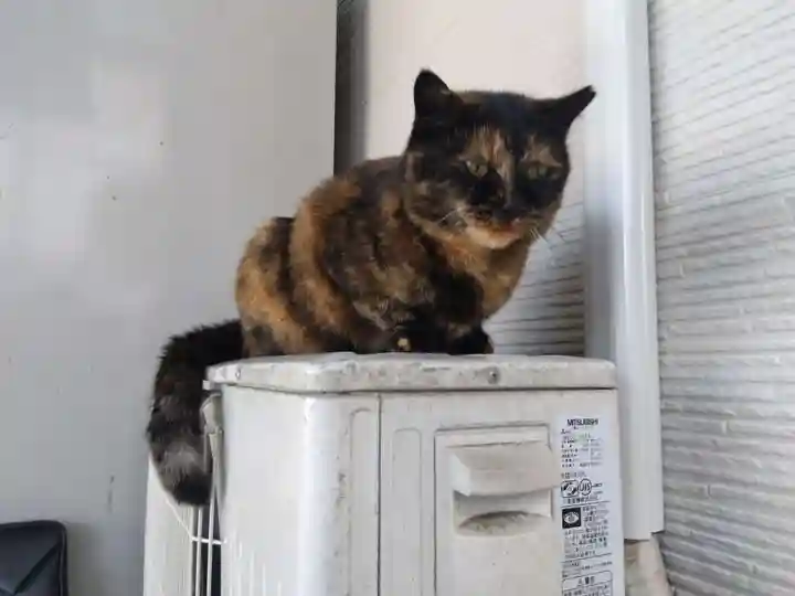 正覚寺(福井県)