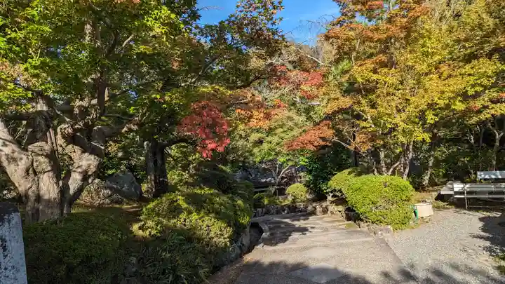 正法寺(京都府)