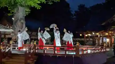 北海道護國神社の神楽