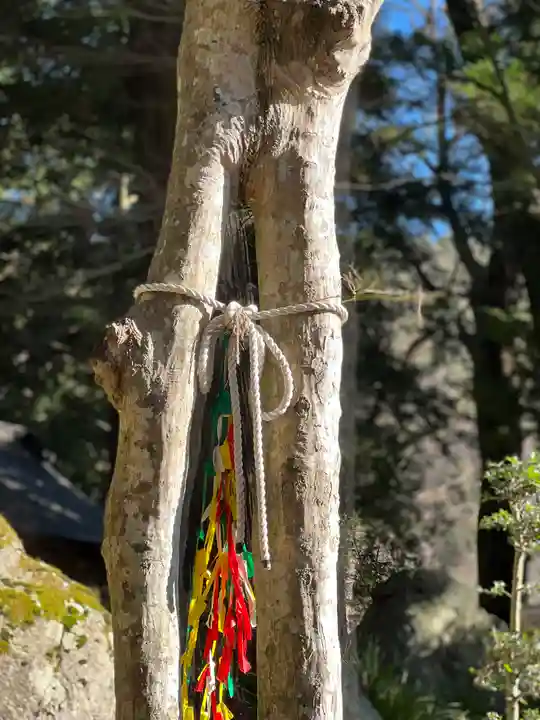 河口浅間神社のその他建物