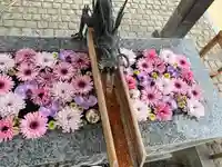 川越八幡宮(埼玉県)