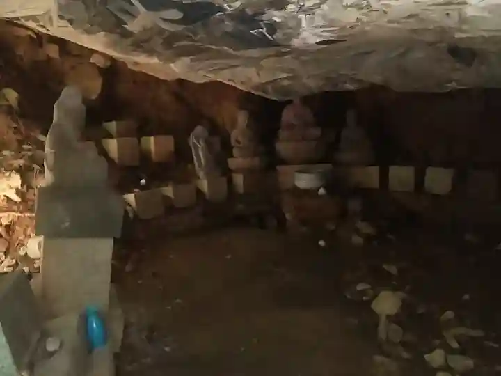 老僧岩(山口県)