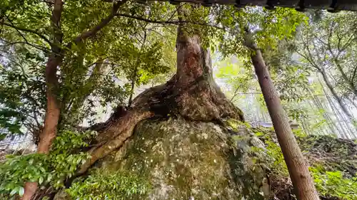 岩神神社(京都府)