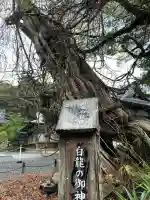 伊古奈比咩命神社(静岡県)