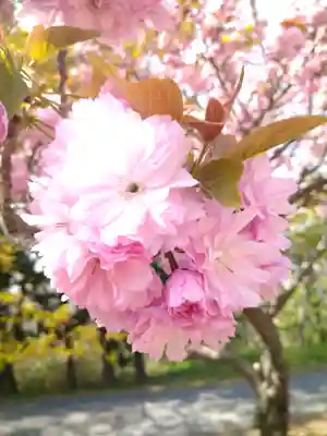 牛窓神社(岡山県)