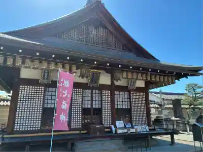 東寺（教王護国寺）(京都府)