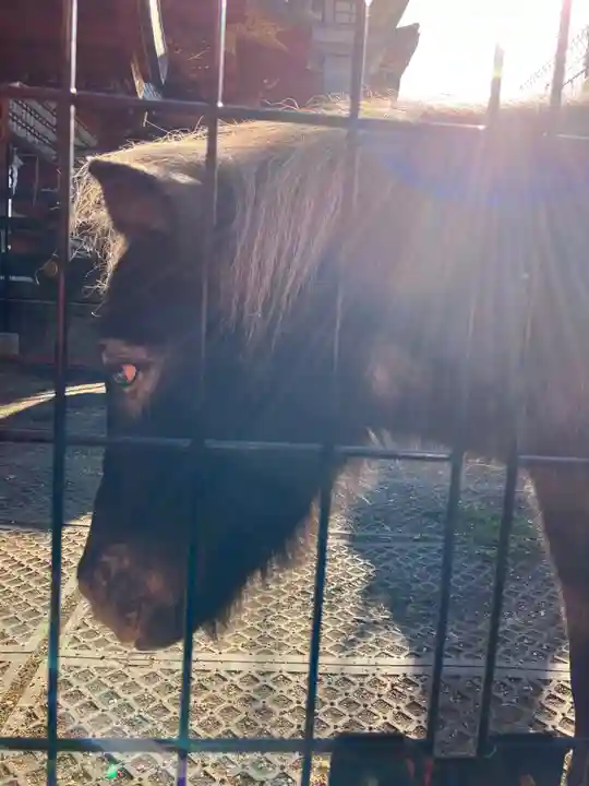 神田神社(神田明神)(東京都)