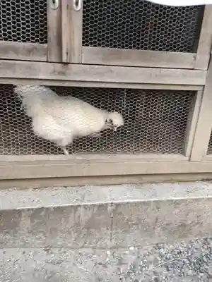 櫻木神社(東京都)