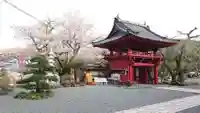 妙松寺の山門・神門