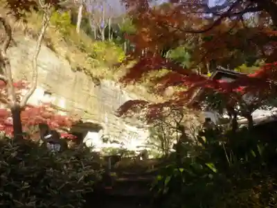 龍隠庵の本殿・本堂