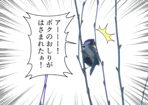 留辺蘂神社の動物