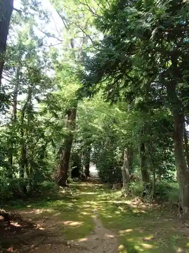 大膳神社の自然
