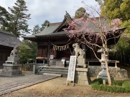 五所八幡宮の本殿・本堂
