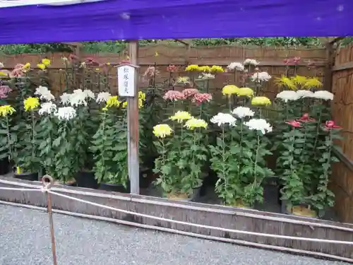 御寺 泉涌寺(京都府)