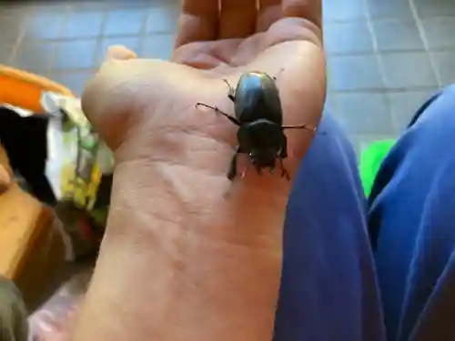 蓮久寺(千葉県)