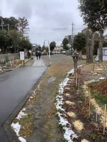 酒見神社の自然