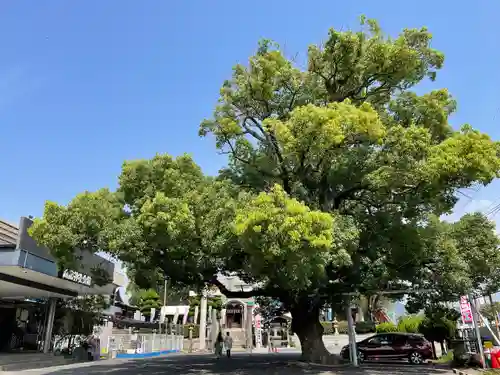 諏訪神社(福岡県)