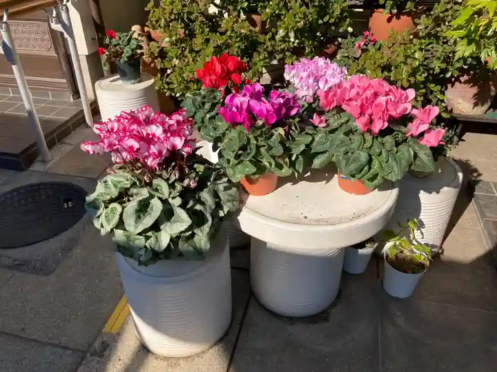 浄瀧寺(神奈川県)