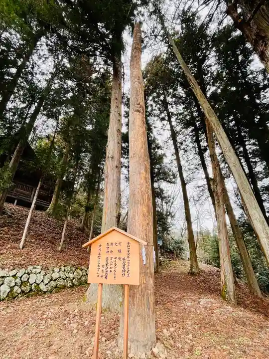 子檀嶺神社(長野県)