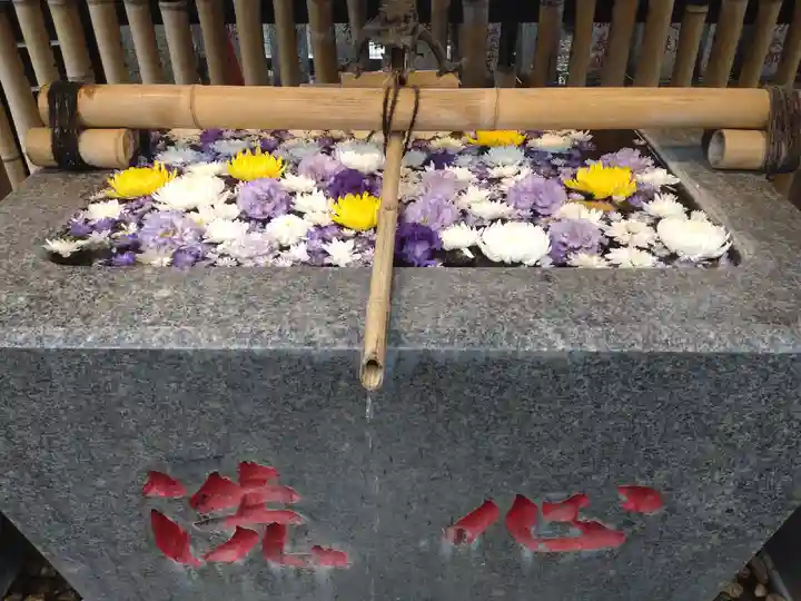 高円寺氷川神社の手水舎