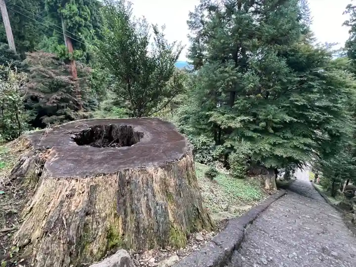 妙義神社(群馬県)