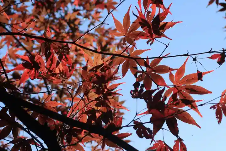 貴船神社の自然