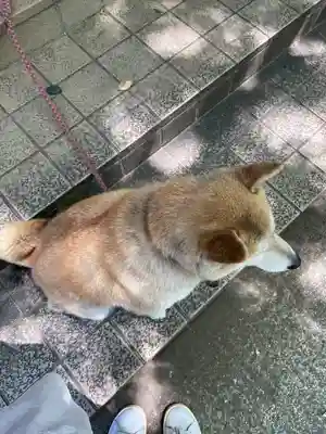 笠䅣稲荷神社(神奈川県)