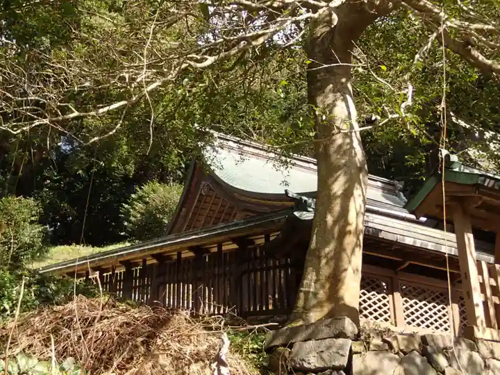 住吉神社の本殿・本堂
