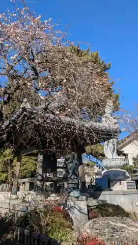 廓信寺の{uncategorized: "未分類", other: "その他", undefined: "問題あり", building: "その他建物", grave: "お墓", sacred_gate: "鳥居", guardian: "狛犬", statue: "像", buddha: "仏像", history: "歴史", nature: "自然", garden: "庭園", animal: "動物", pagoda: "塔", temizu: "手水舎", mountain_gate: "山門・神門", sanctuary: "本殿・本堂", subordinate: "末社・摂社", art: "芸術", scenery: "景色", jizo: "地蔵", ema: "絵馬", goshuin: "御朱印", omikuji: "おみくじ", items: "授与品その他", amulet: "お守り", goshuincho: "御朱印帳", eats: "食事", festival: "お祭り", votive_dance: "神楽", shichigosan: "七五三参", wedding: "結婚式", experience: "体験その他", initially: "初詣", around: "周辺", anti_infection: "感染症対策"}