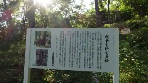 馬脊神社　東之宮(長野県)