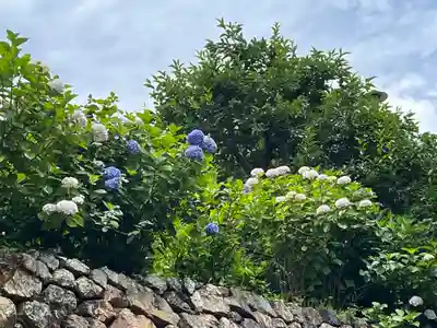 勝尾寺(大阪府)