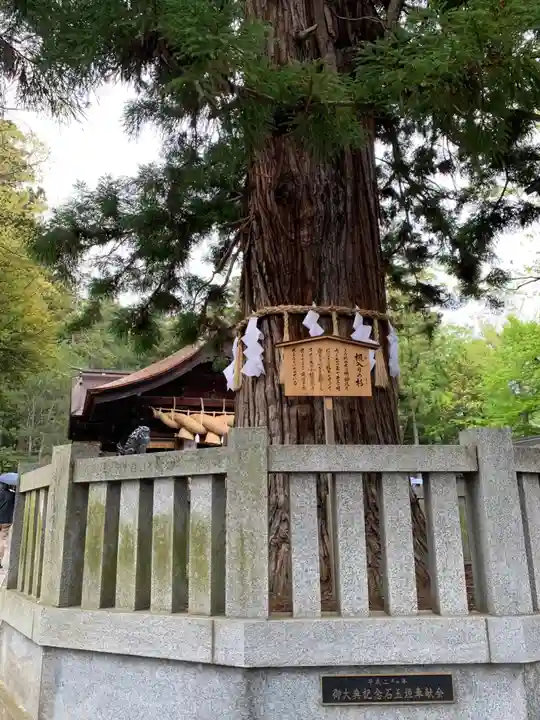 諏訪大社下社秋宮(長野県)