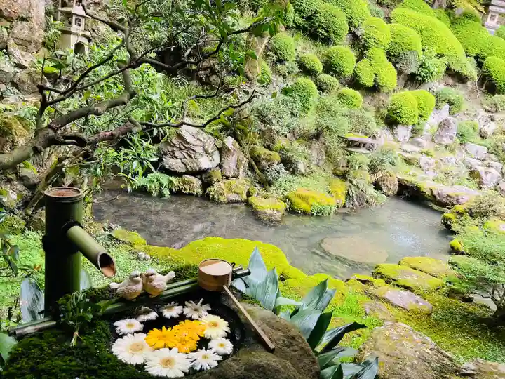 柳谷観音 楊谷寺(京都府)