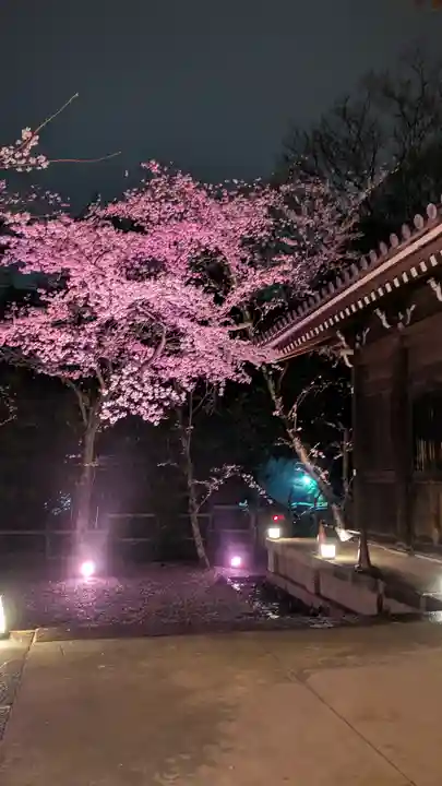 知恩院(京都府)