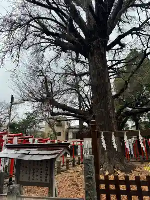 鬼子母神堂　(法明寺）の{uncategorized: "未分類", other: "その他", undefined: "問題あり", building: "その他建物", grave: "お墓", sacred_gate: "鳥居", guardian: "狛犬", statue: "像", buddha: "仏像", history: "歴史", nature: "自然", garden: "庭園", animal: "動物", pagoda: "塔", temizu: "手水舎", mountain_gate: "山門・神門", sanctuary: "本殿・本堂", subordinate: "末社・摂社", art: "芸術", scenery: "景色", jizo: "地蔵", ema: "絵馬", goshuin: "御朱印", omikuji: "おみくじ", items: "授与品その他", amulet: "お守り", goshuincho: "御朱印帳", eats: "食事", festival: "お祭り", votive_dance: "神楽", shichigosan: "七五三参", wedding: "結婚式", experience: "体験その他", initially: "初詣", around: "周辺", anti_infection: "感染症対策"}
