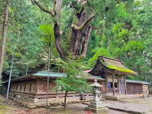 若狭姫神社（若狭彦神社下社）(福井県)