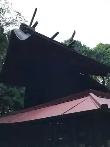 山代神社の本殿・本堂