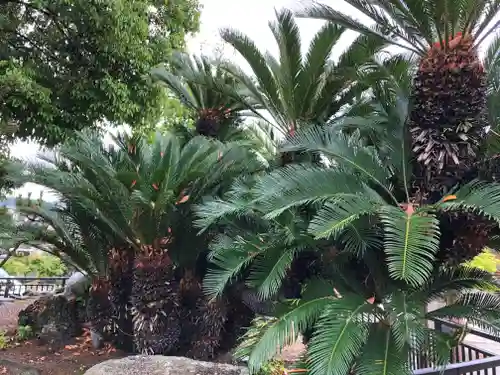 龍田神社の自然